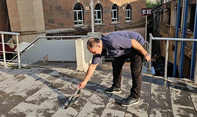 Adilcevaz'da kasap ile karga arasındaki sıra dışı dostluk görenleri gülümsetiyor