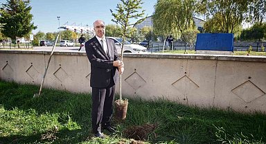 Afyonkarahisar'da "Bir Fidan Bir Umut" projesi sürüyor