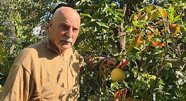 Ağaç kavununa benzeyen pomelo Karadeniz'de meyve verdi