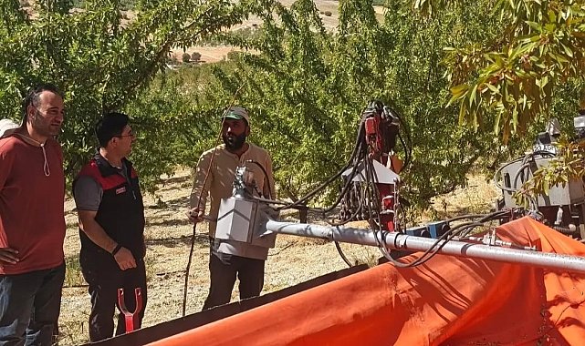 Ağın'daki badem üretim alanlarında inceleme