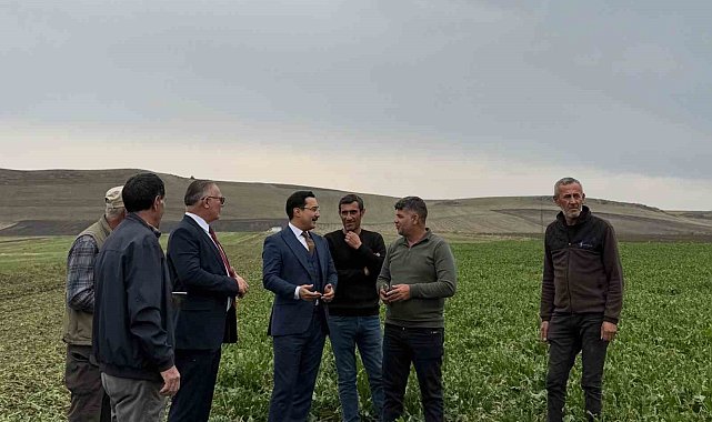 Akyaka Kaymakamı Demirtaş, şeker pancarı hasadına katıldı