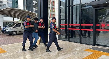 Alanya'da kuşlara vahşet uygulayan şüpheli tutuklandı
