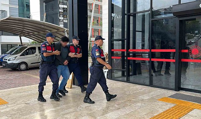 Alanya'da kuşlara yönelik vahşet kamerada: Birinin kafasını ağzıyla, diğerinin bıçakla kesti