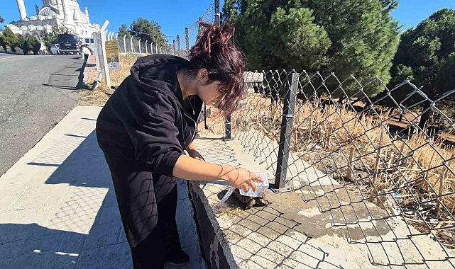 Alevlerin arasından kurtarılan kaplumbağaya vatandaş sahip çıktı
