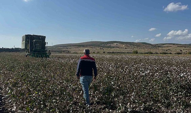 Aliağa'da beyaz altın hasadı başladı