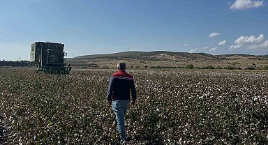 Aliağa'da beyaz altın hasadı başladı