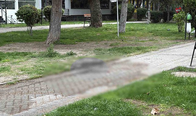 Alkol içerken çıkan tartışma cinayetle bitti