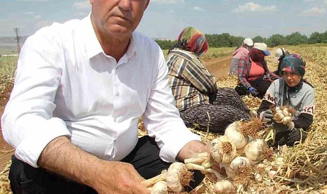 Altun'dan '15 Ekim Dünya Kadın Çiftçiler Günü' mesajı