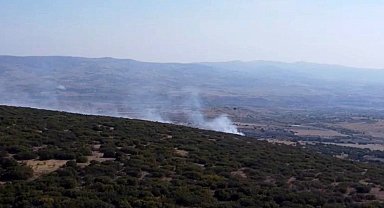 Ankara'da ormanlık alanda çıkan yangın kontrol altına alındı