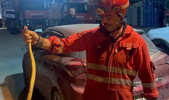 Antakya'da aracın içinde görülen yılan yakalandı