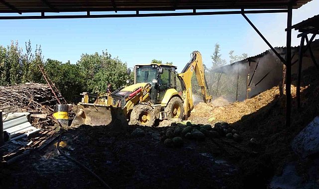 Antalya'da 2 yıl arayla ikinci kez yanan ahırda hayvanlar telef oldu
