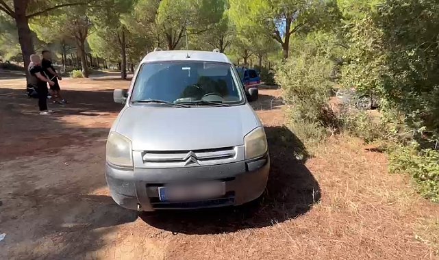 Antalya'da 20 yıl hapis cezası bulunan firari hükümlü ormanlık alanda yakalandı
