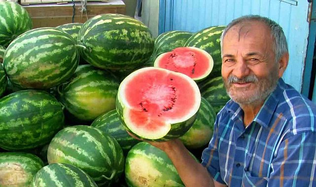 Araban Ovası'nda ikinci ürün güz karpuzu hasadı devam ediyor