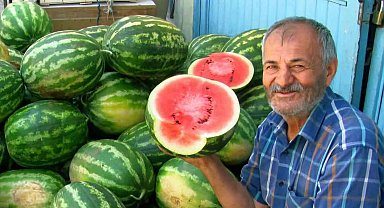Araban Ovası'nda ikinci ürün güz karpuzu hasadı devam ediyor