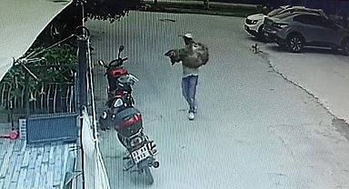 Araçla ezilen köpek kurtarılamadı