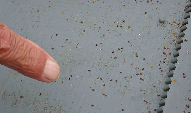 Arılı kovanların ilkbahara sağlıklı çıkması için varroa mücadelesi büyük önem taşıyor