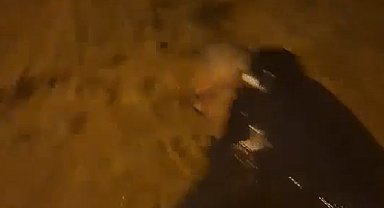Armutlu'da sel sularına kapılan adamı böyle kurtardı
