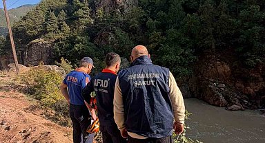 Artvin'de araç dereye düştü: 1 yaralı