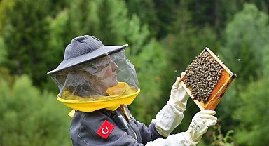 Artvin'de arıcılığı turizmle buluşturmak için rota belirleniyor