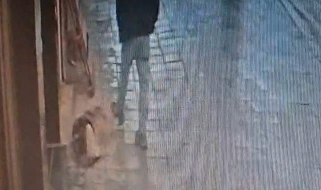 Avcılar'da uyuyan köpek, kendisine tekme atan adamı ısırdı