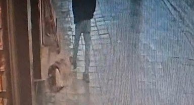 Avcılar'da uyuyan köpek, kendisine tekme atan adamı ısırdı