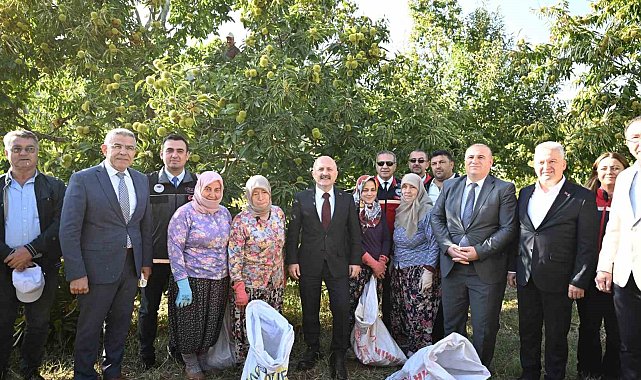 Aydın'da 5 bin 629 kestane üreticisi hasat heyecanı yaşıyor