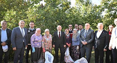 Aydın'da 5 bin 629 kestane üreticisi hasat heyecanı yaşıyor