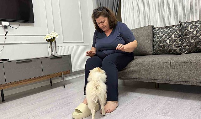Aydın'dan alınan köpek Mardinli ailenin kabusu oldu