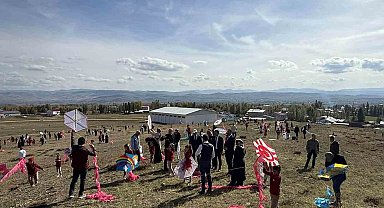 Aydıntepe'de uçurtma şenliği düzenlendi