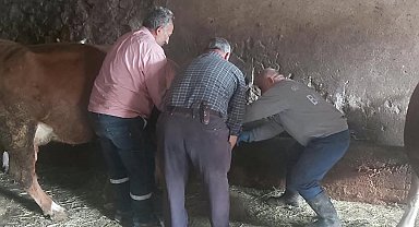 Aydıntepe'de yavru atık bildirimi üzerine saha çalışması yapıldı