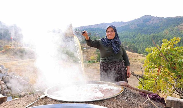 Bağlardan kazanlara uzanan pekmez mesaisi