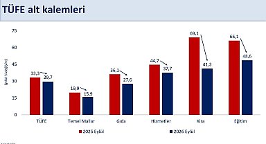 Bakan Şimşek: "Yıllık enflasyon 57 ay sonra yüzde 30'un altına geriledi"