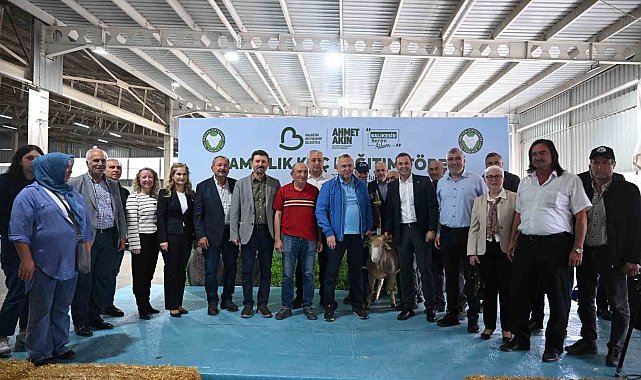 Balıkesir Büyükşehir Belediyesi'nden Susurluk'ta üreticilere 47 damızlık koç desteği