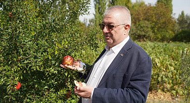 Balıkesir Edremit Belediyesi ata tohumlarını geleceğe taşıyor