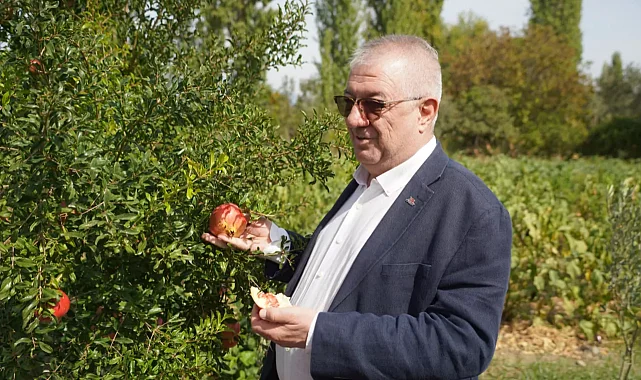 Balıkesir Edremit Belediyesi ata tohumlarını geleceğe taşıyor