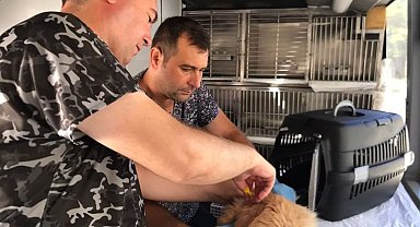 Balıkesir'de can dost aracı Savaştepe'den yola çıkıyor