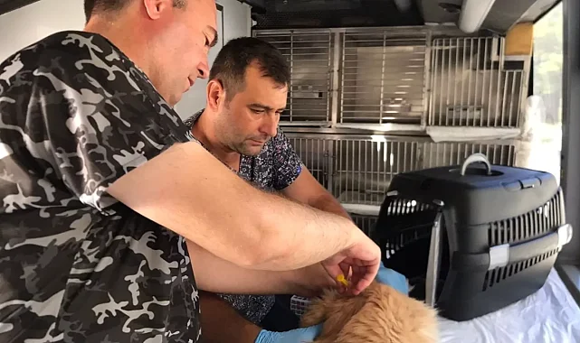 Balıkesir'de can dost aracı Savaştepe'den yola çıkıyor
