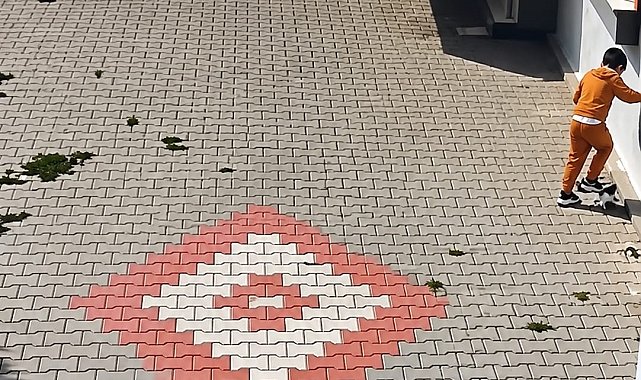 Bandırma'da kediye işkence iddiası tepki çekti