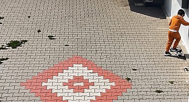 Bandırma'da kediye işkence iddiası tepki çekti