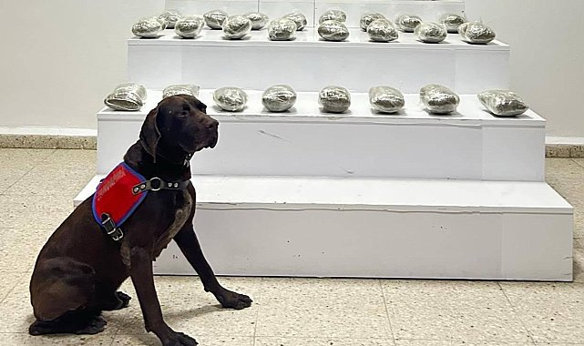 Başkale'de 10 kilo toz esrar ele geçirildi