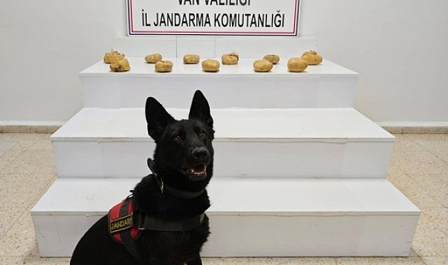 Başkale'de çuvalda 11 kilo 958 gram toz esrar ele geçirildi