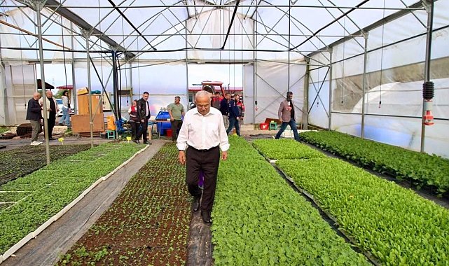 Başkan Güler: "500 bin fidemizi üreticilerimize ücretsiz dağıtacağız"