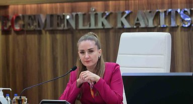 Başkan Vekili Özdemir: "Altıntaş çanağında biriken suyu denize ulaştırmak istiyoruz"