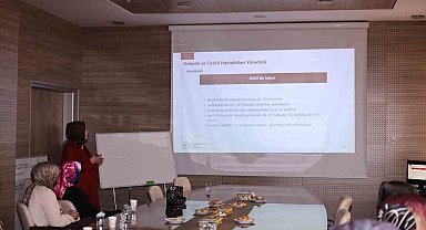 Bayburt'ta sağlık personeline gebelik ve anne sağlığı eğitimi