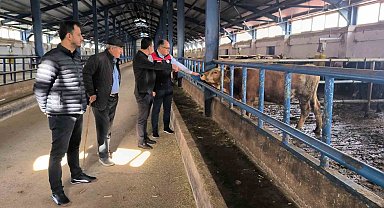Bayburt'ta yüzde 50 hibe desteğiyle kurulan hayvancılık işletmesi incelendi