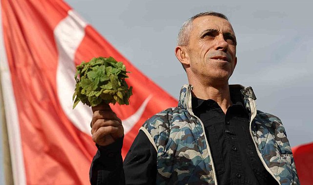Beş dönümlük dağlık araziyi, tıbbi aromatik bitki bahçesine çevirdi
