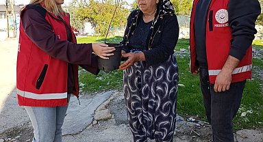 Besni'de yaşlılara fidan dağıtıldı