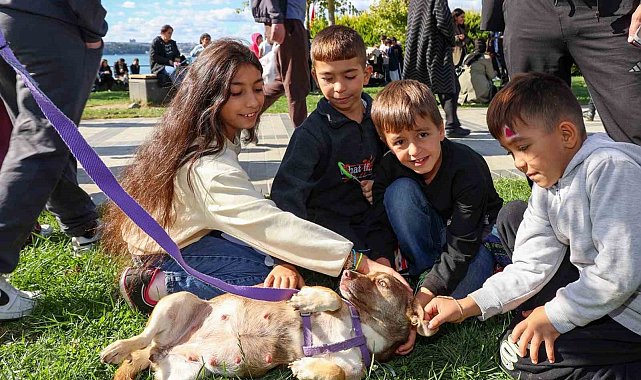 Beykoz Yaşam Festivali renkli görüntülere sahne oldu