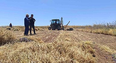 Beyşehir'in kırmızı altını Avrupa ve Orta Doğu yolunda