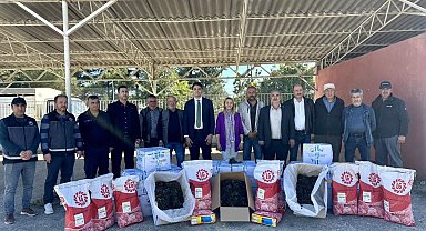 Bilecik'te üreticilere 41 bin 750 çilek fidesi desteği